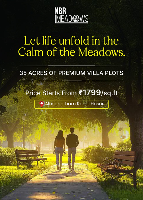 meadows-Banner-image